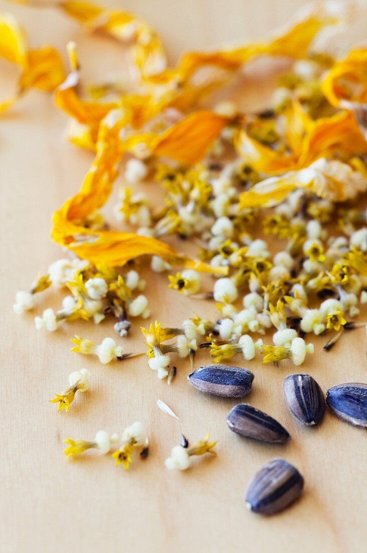 Parts of a Sunflower; Seeds to Petals