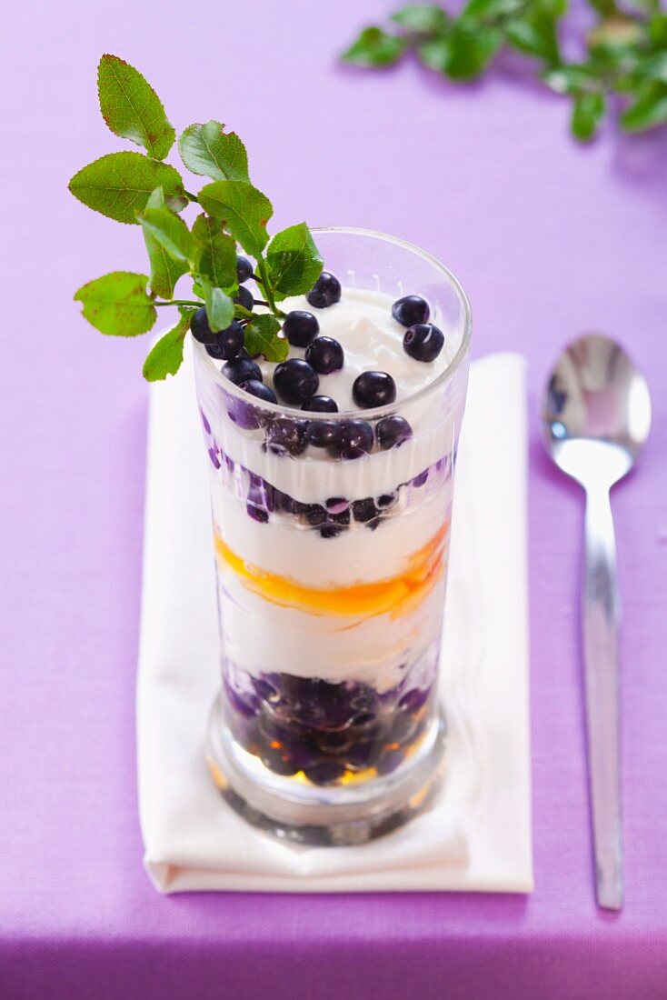 Blueberry yogurt with honey