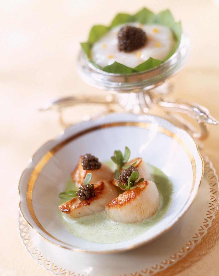 Scallops in herb sauce