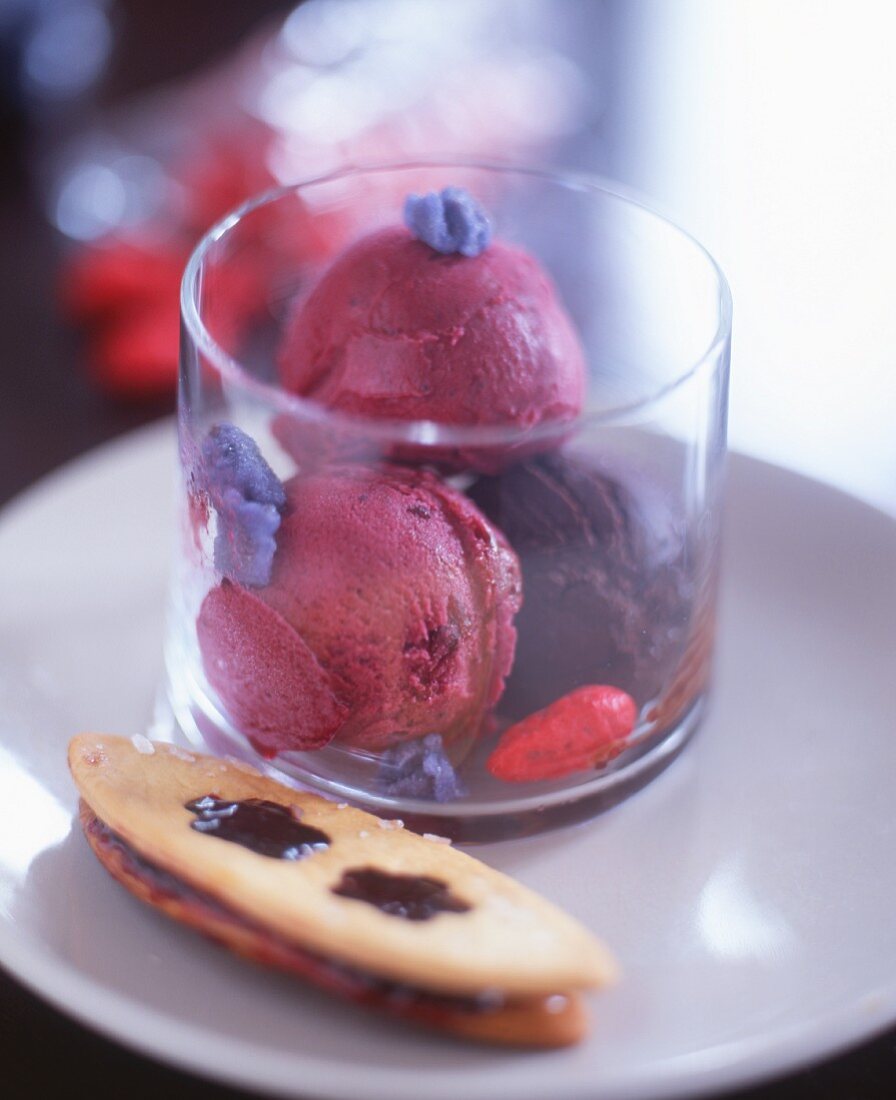 Berry ice cream and chocolate ice cream in glass dish with biscuit