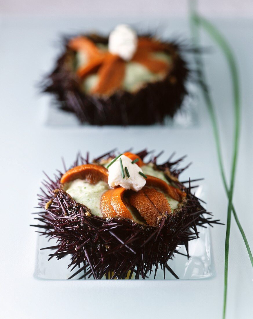 Sea urchins with herb mousse