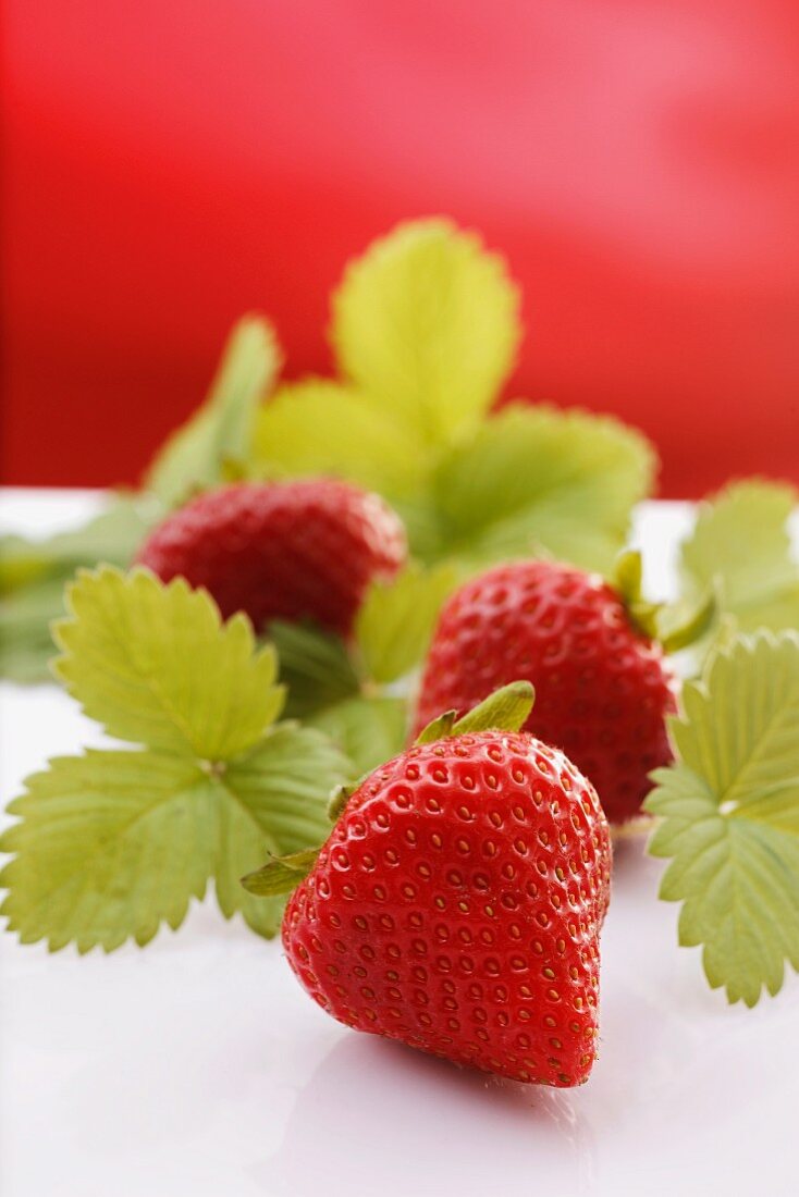 Erdbeeren mit Blättern