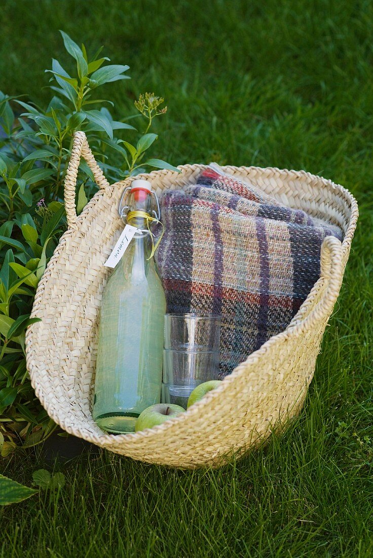 Eine Flasche selbstgemachte Zitronenlimonade fürs Picknick