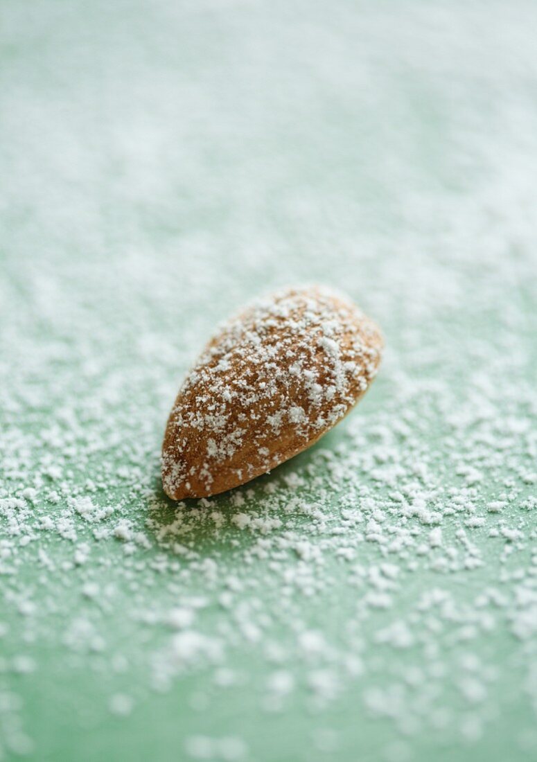 Apricot seeds (close up)