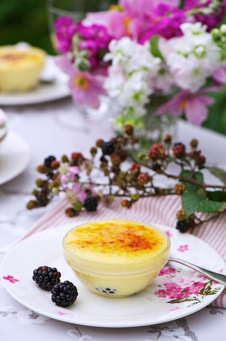 Crème brûlée mit Apfel und Brombeeren