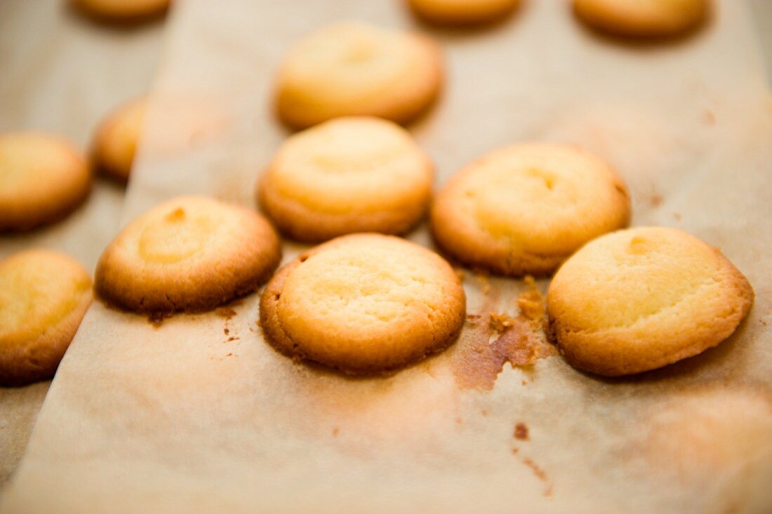 Butterplätzchen auf Backpapier