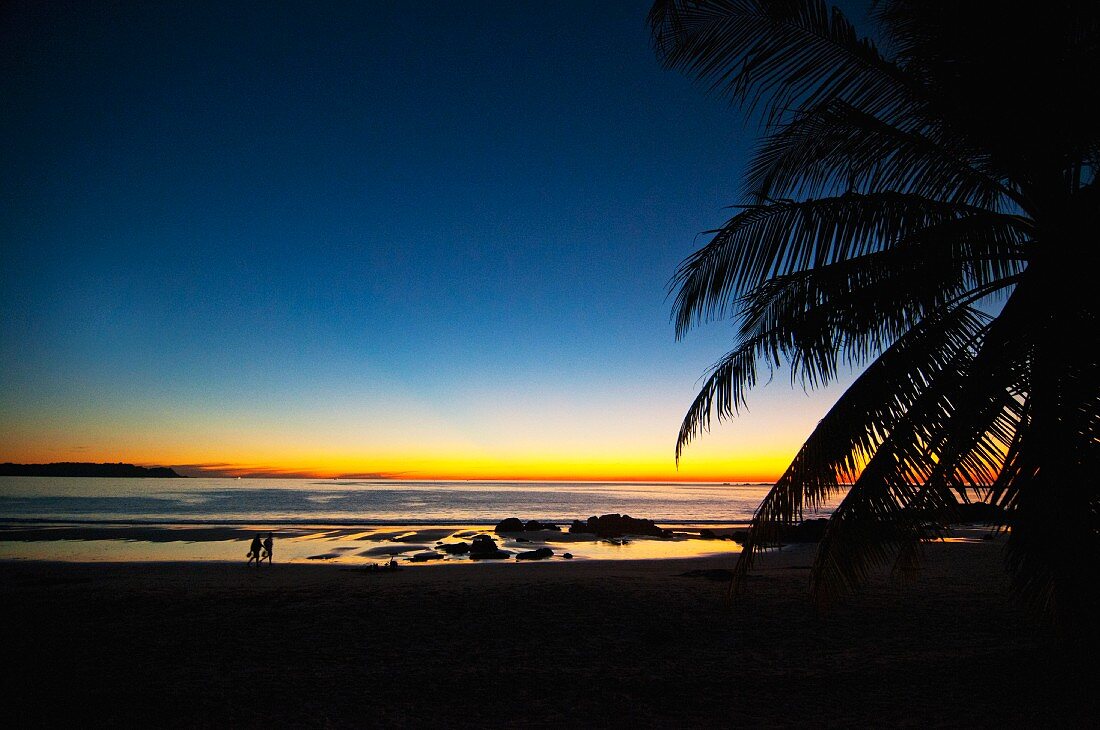 Sunset on a palm-lined beach