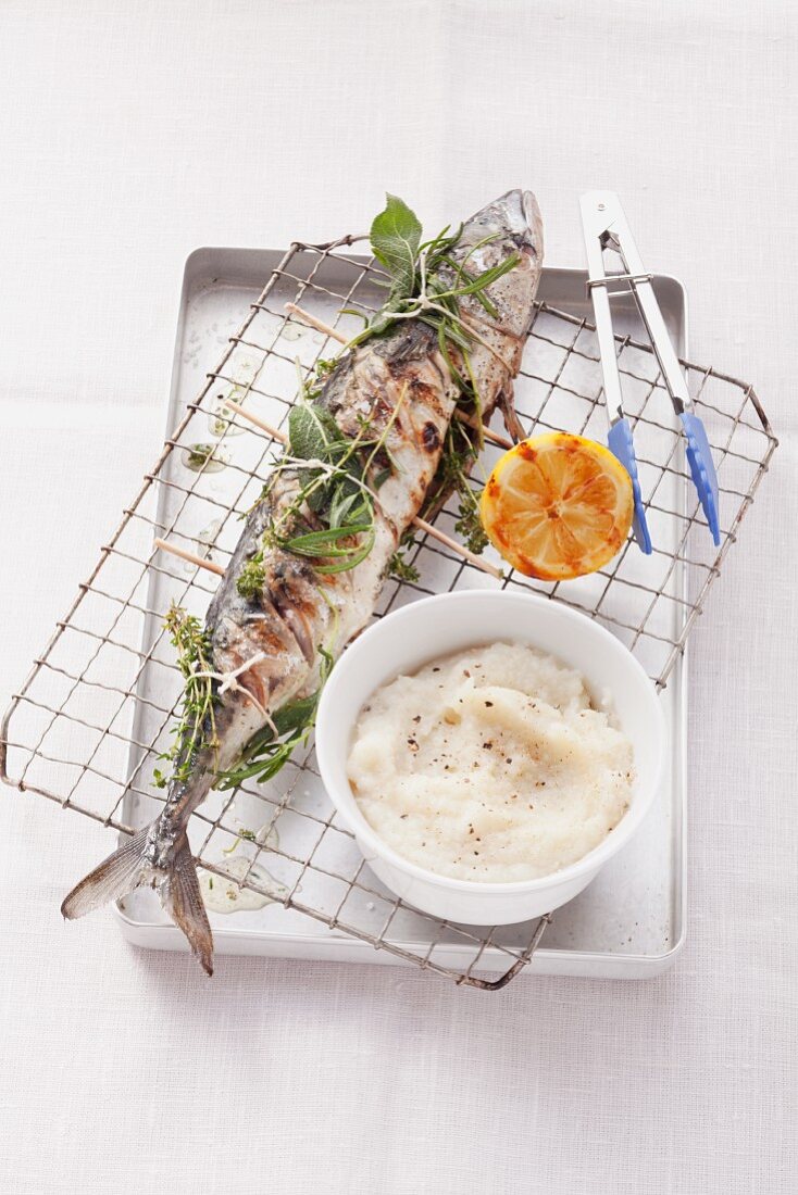 Grilled mackerel with herbs and Topinambur puree