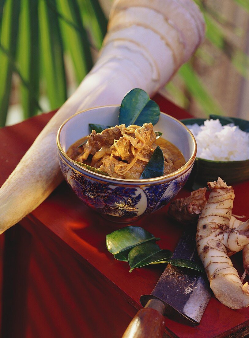 Rindfleisch mit rotem Curry & Bambus