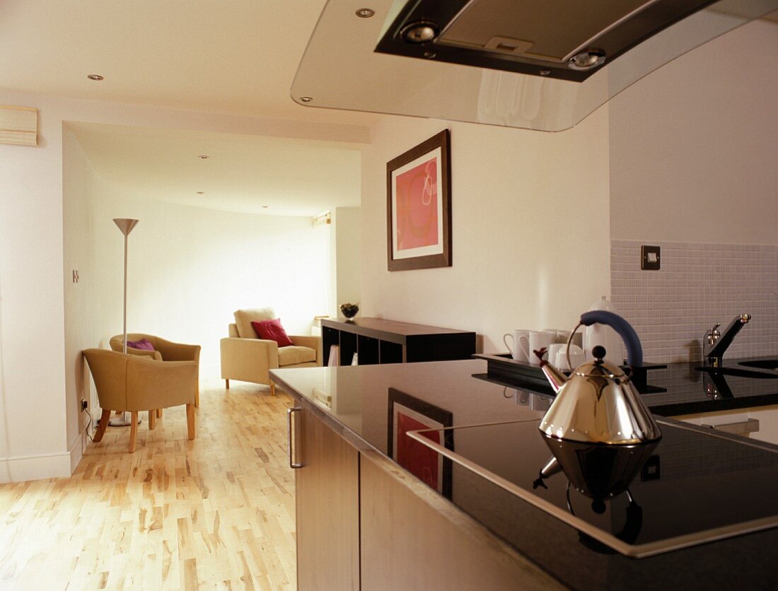 Kitchen counter in open-plan room