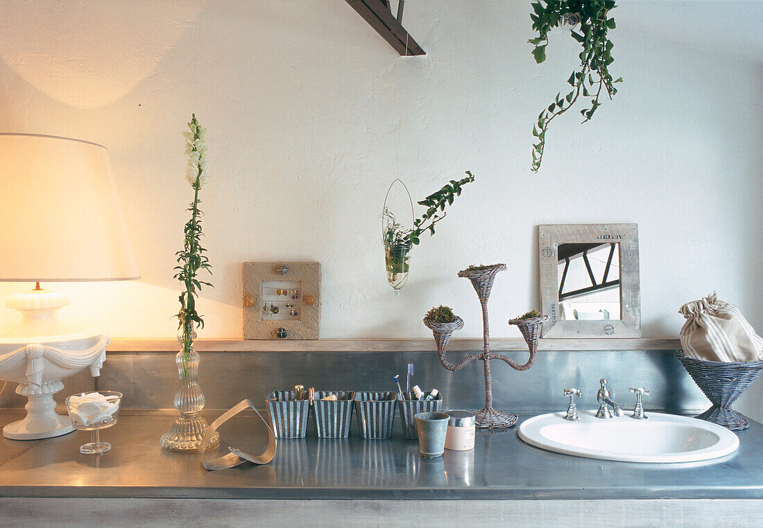 Bathroom with hanging plants and vintage decorations