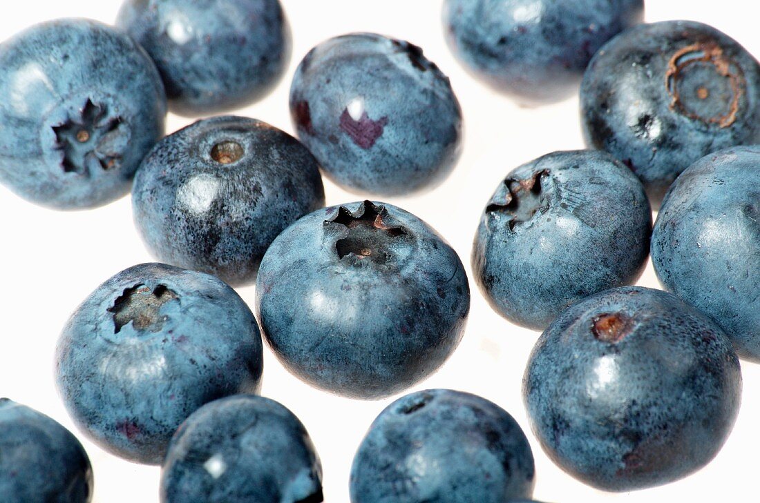 Several blueberries (close up)
