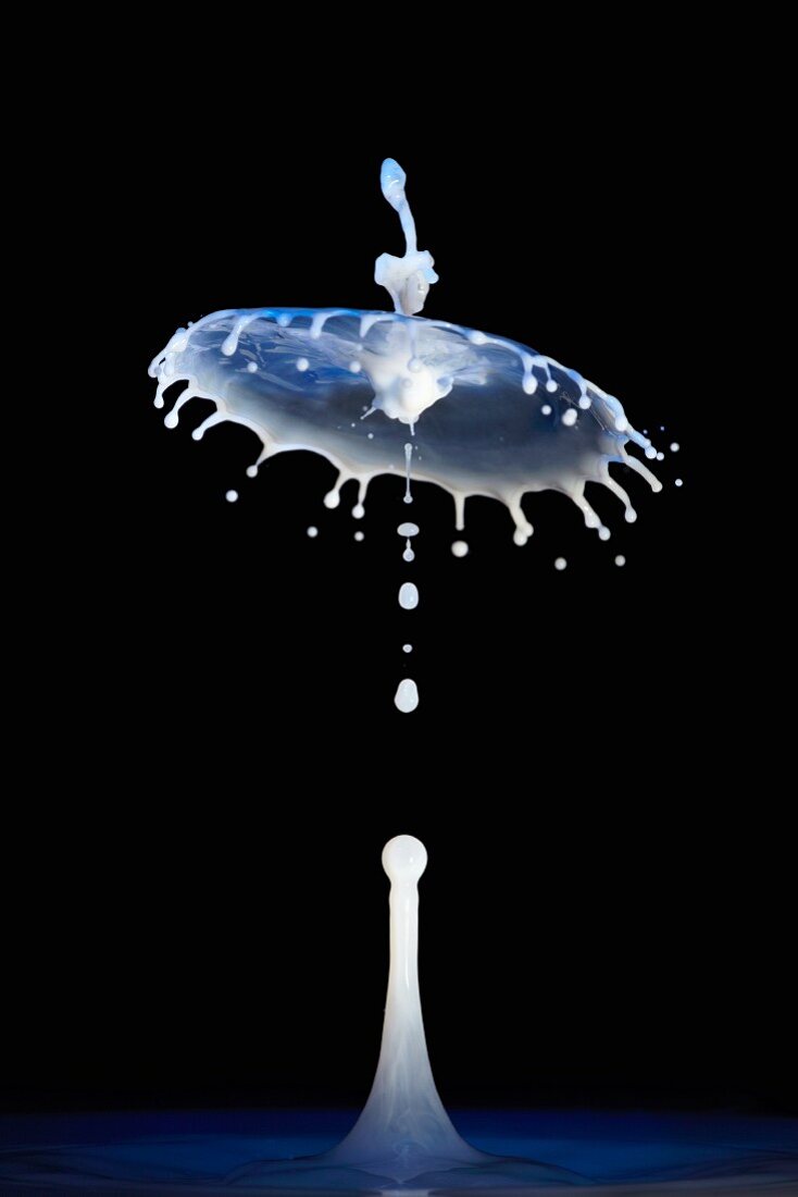 Drops of milk in front of black background