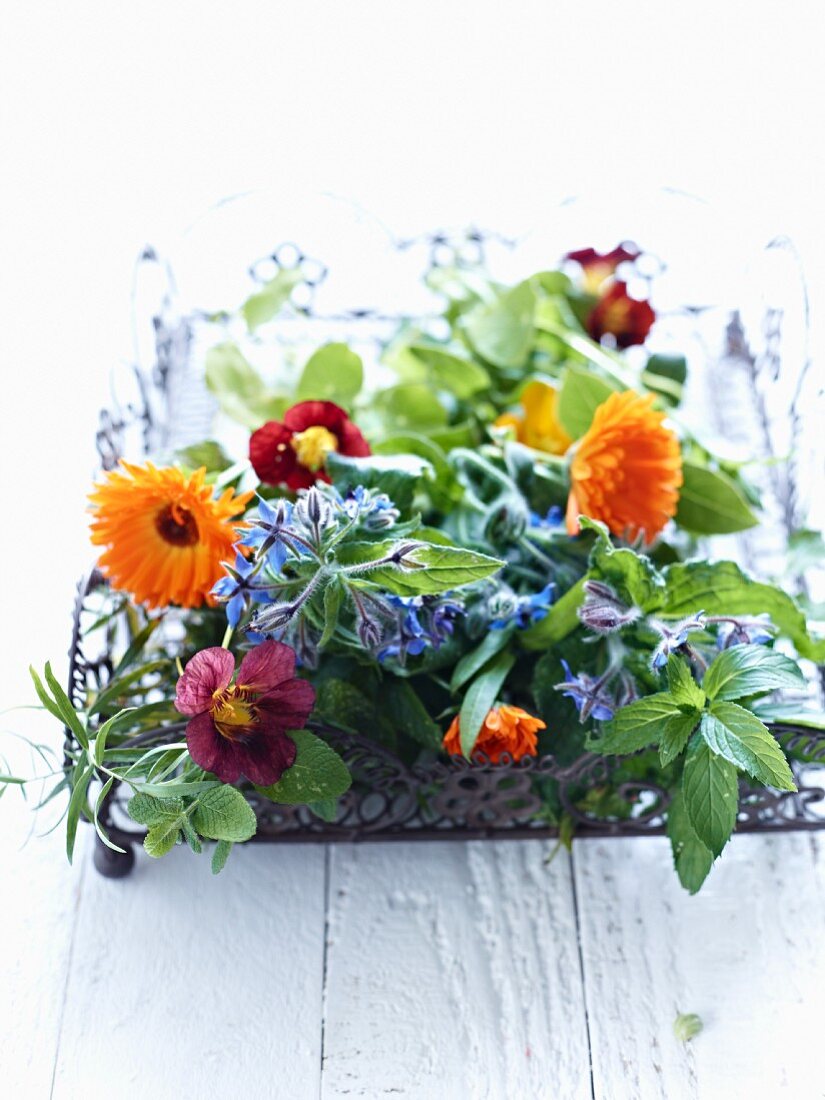 Flowering herbs