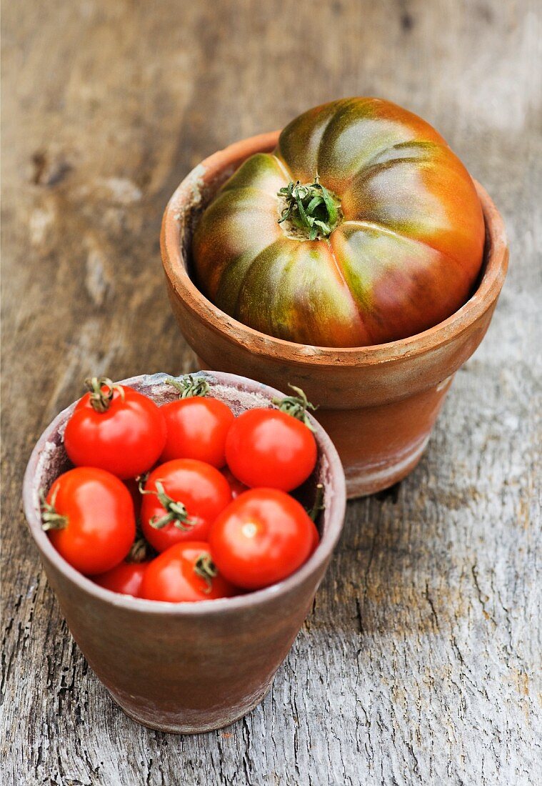 Heritage tomato and red tomatoes in terracotta pots