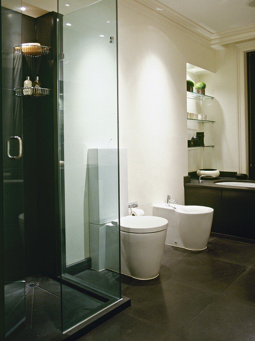 Contemporary, black and white designer bathroom in classic extension