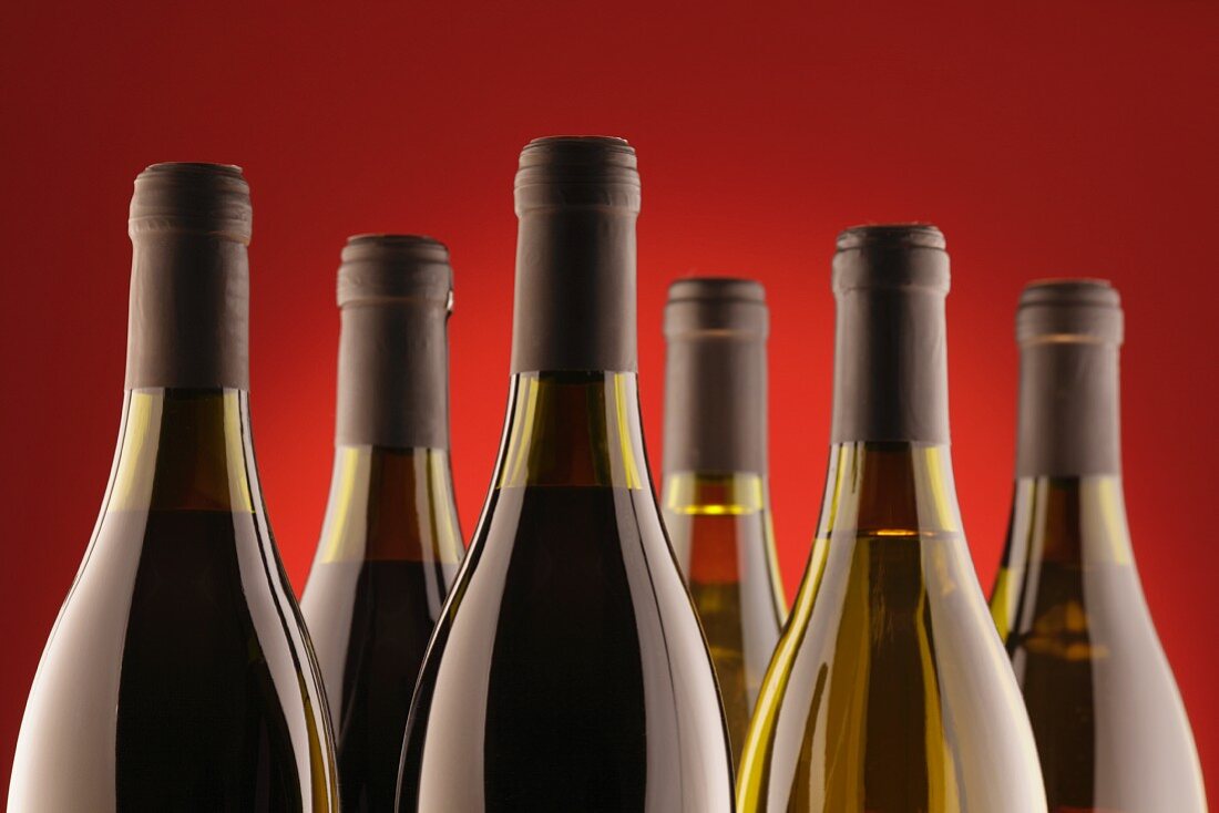Bottles of red wine and white wine