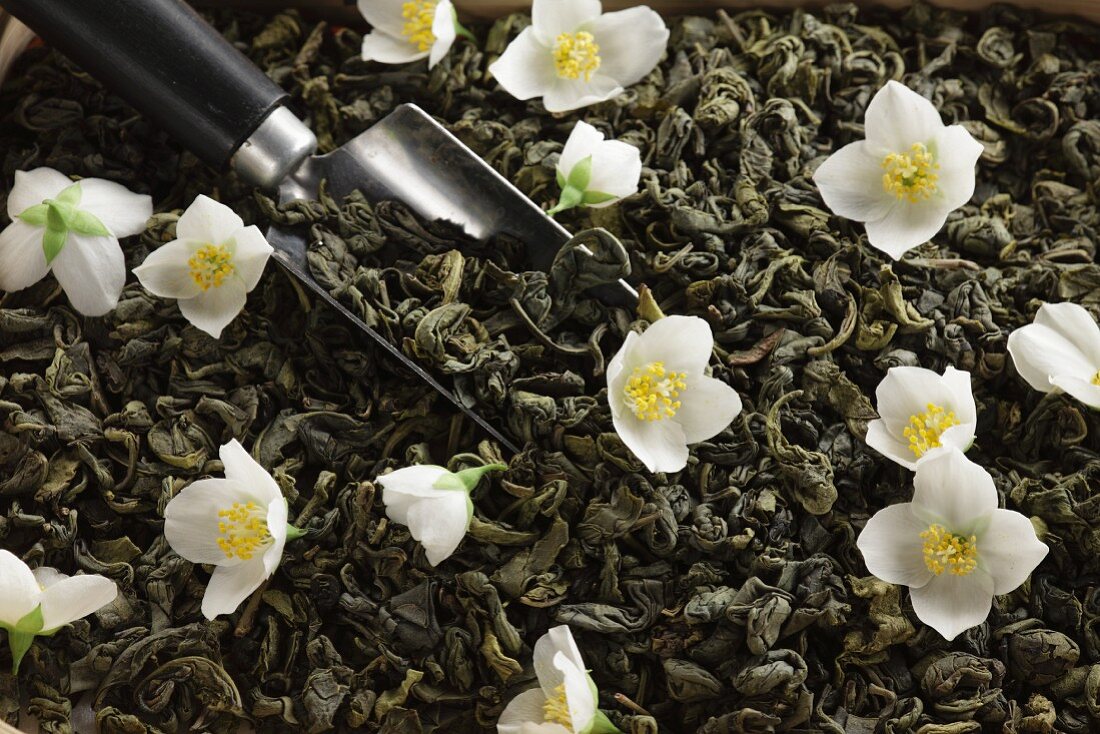 Dried green tea with jasmine blossom