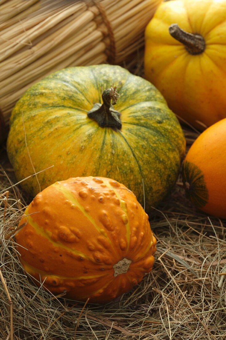 Variety of Pumpkins; Outdoors on Hay