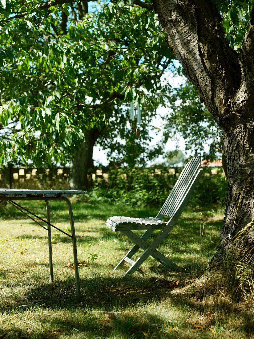 Wooden chair under a tree with dappled sunlight