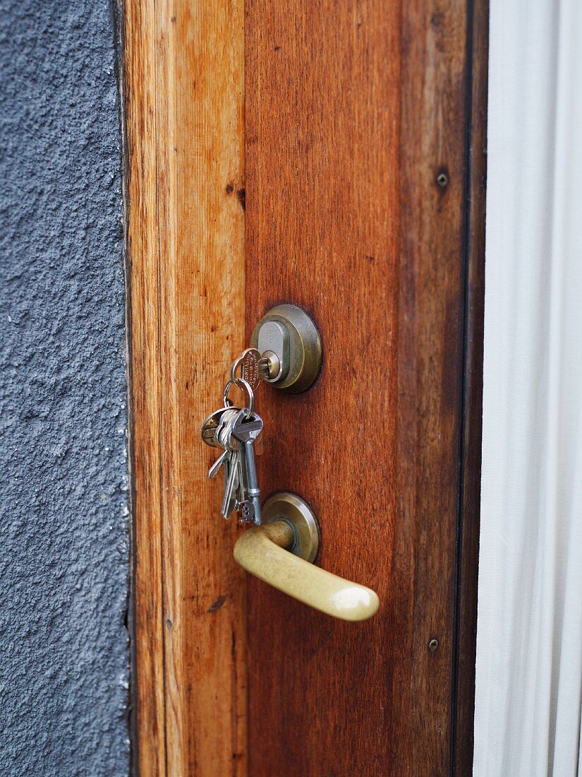 Bunch of keys in a door