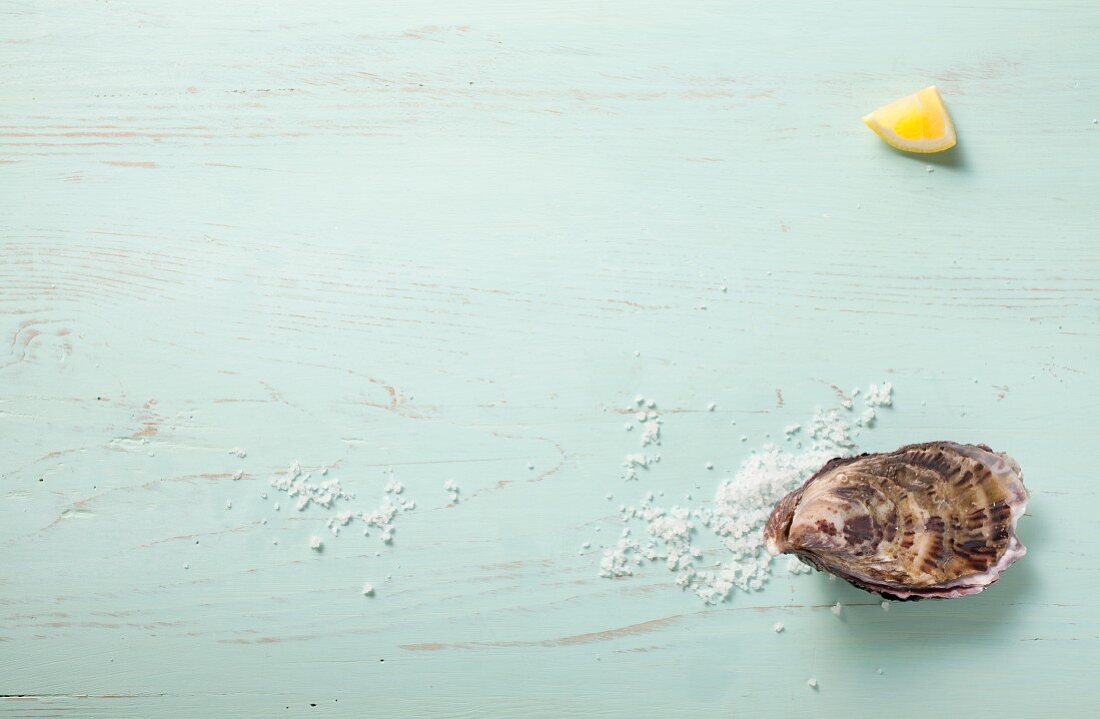 Oyster, sea salt and lemon wedge on wooden background