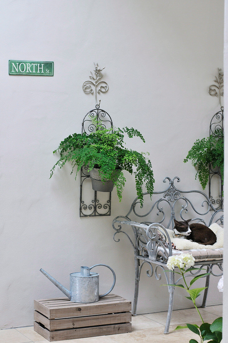 Metal watering can on floor next to metal-framed chair