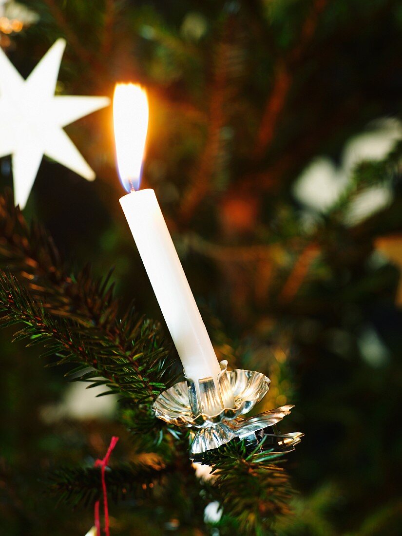 Burning candle on a Christmas tree