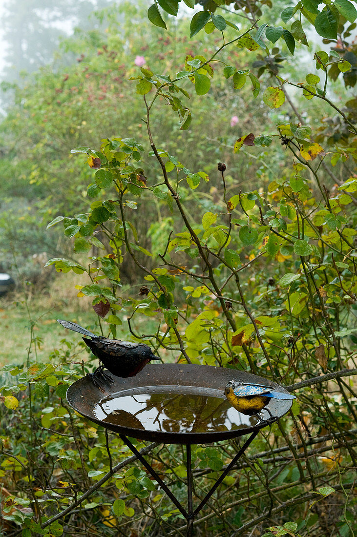 Bird bath with bird figurines on it in the garden