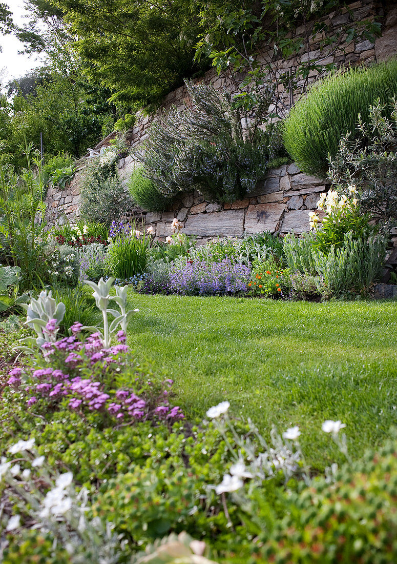 Summer garden with flowers growing out of wall