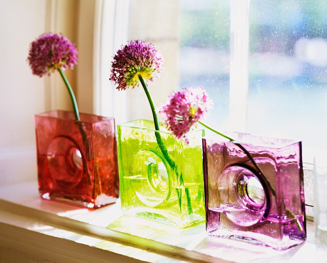Violet flowers in vases made of colored glass