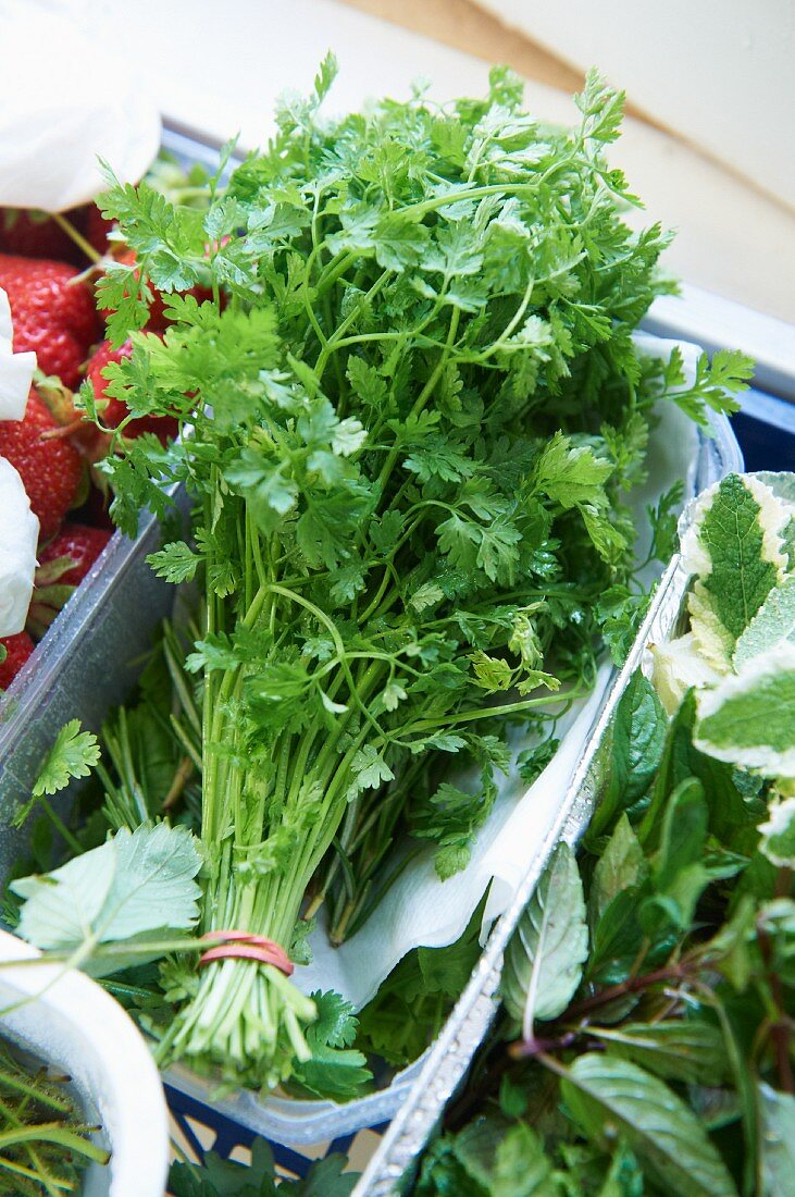 Frische Kräuter und Erdbeeren