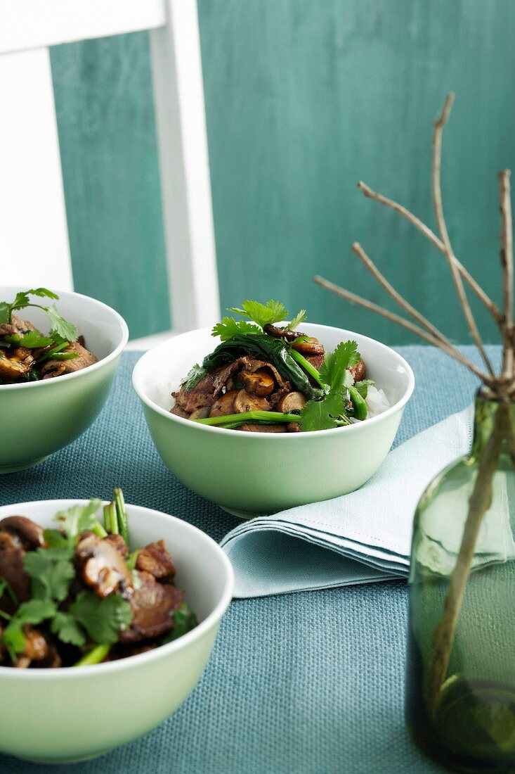 Beef with vegetables and fresh coriander