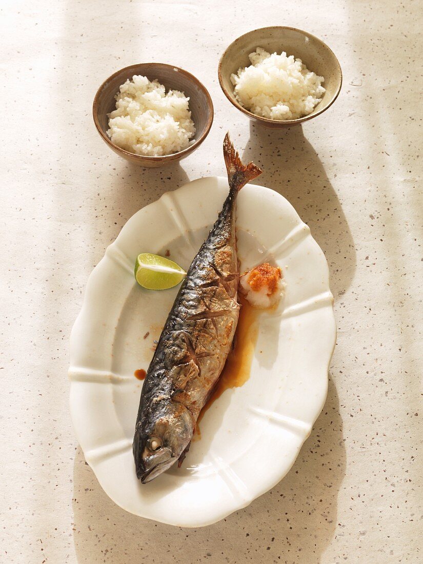 Yaki Saba (gegrillte Makrele, Japan)