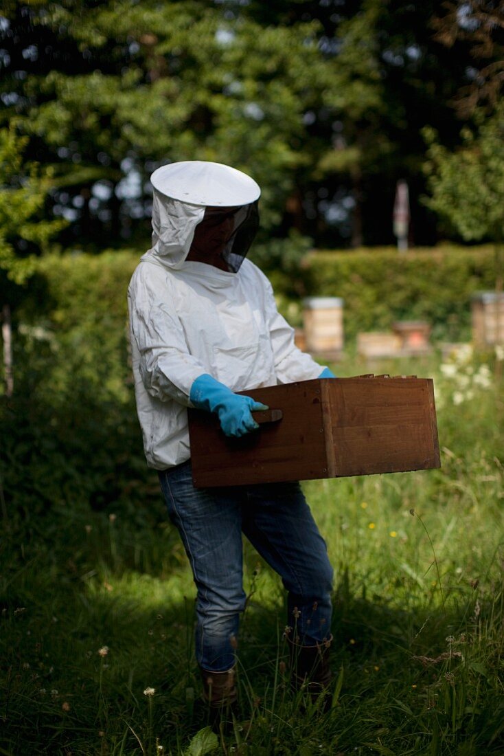 Imker mit Bienenwabe