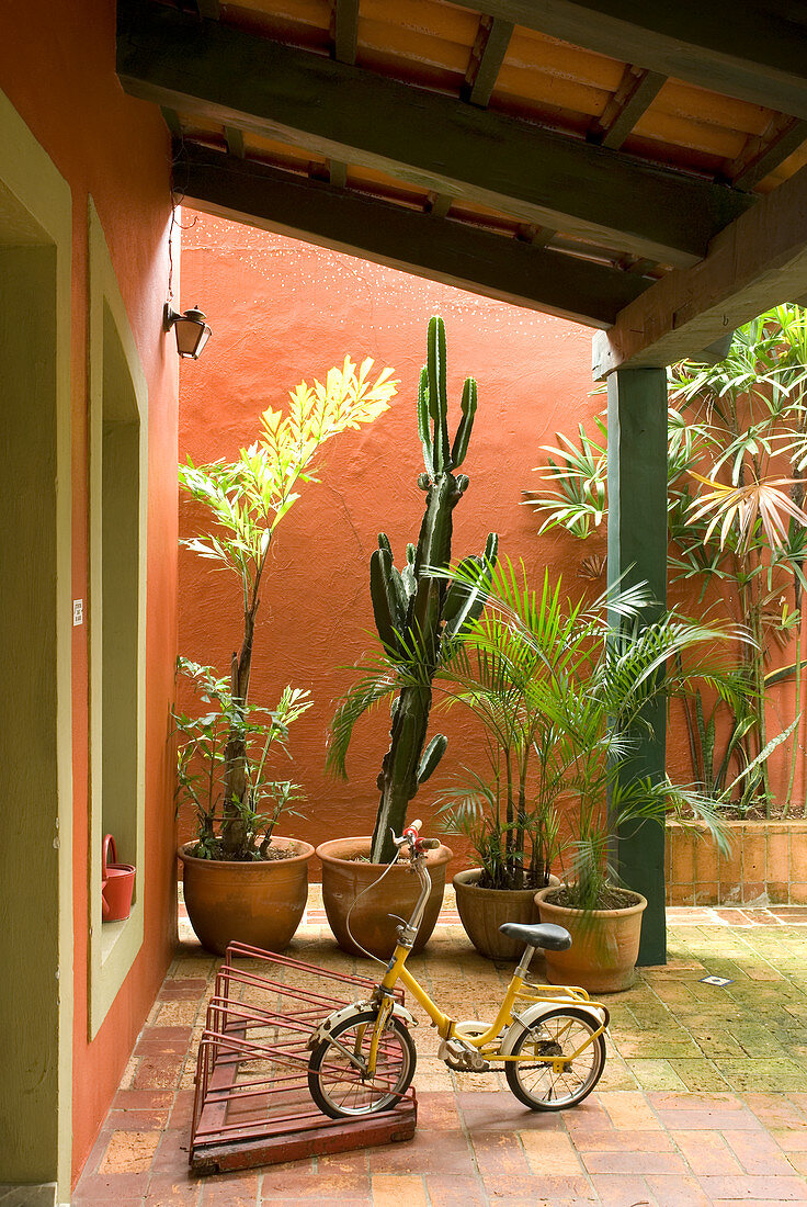 Bike in bike rack below porch and exotic plants in pots