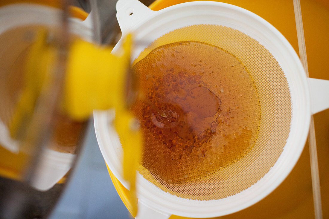 Honig wird durch ein feines Sieb gefiltert