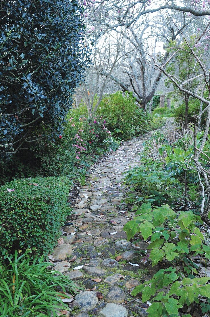 Stone path leading through garden