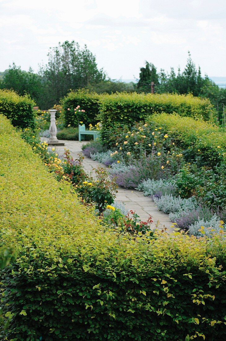 Gartenweg von geschnittenen Hecken umgeben