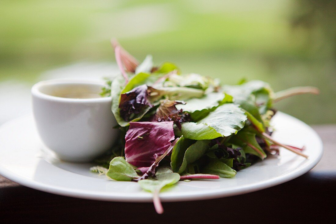 Small Mixed Green Salad with Dressing on the Side; Outdoor