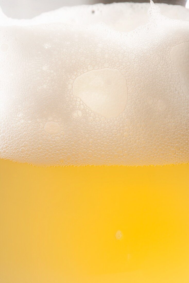 Pale Lager with Large Head in a Glass; Close Up