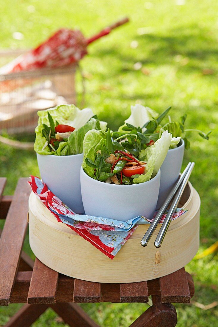 Thailändischer Salat mit Hühnerfleisch in Schalen fürs Picknick