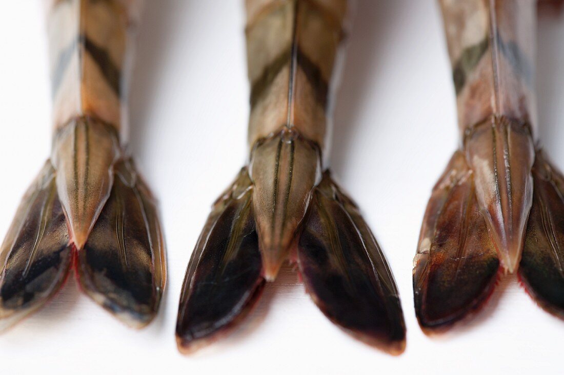 Three prawn tails (close-up)