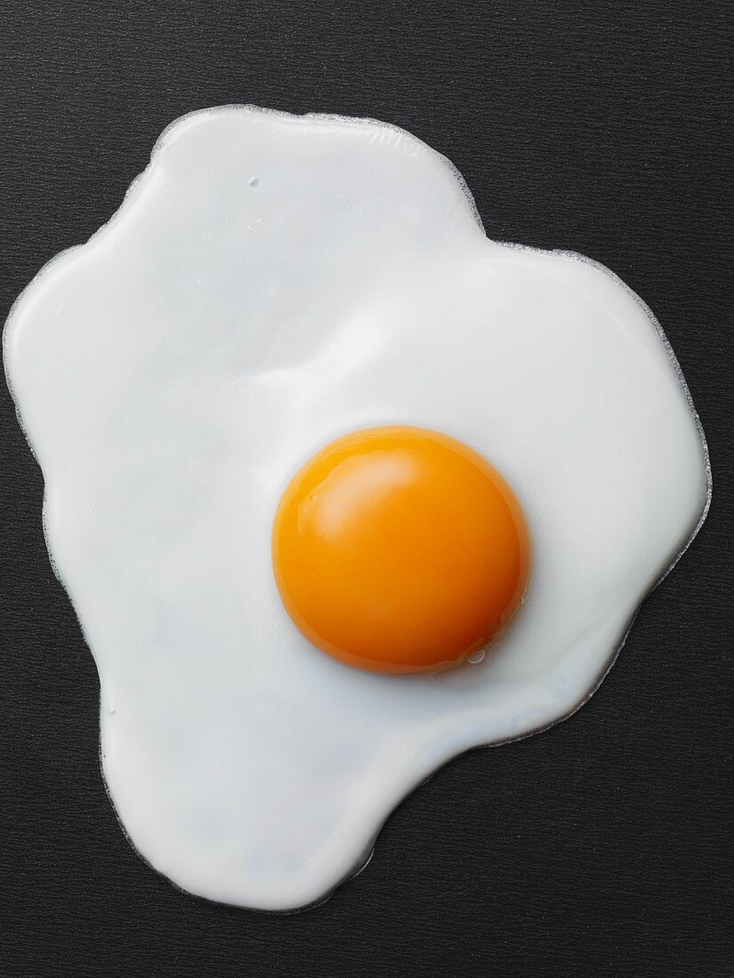 Fried egg on a black background