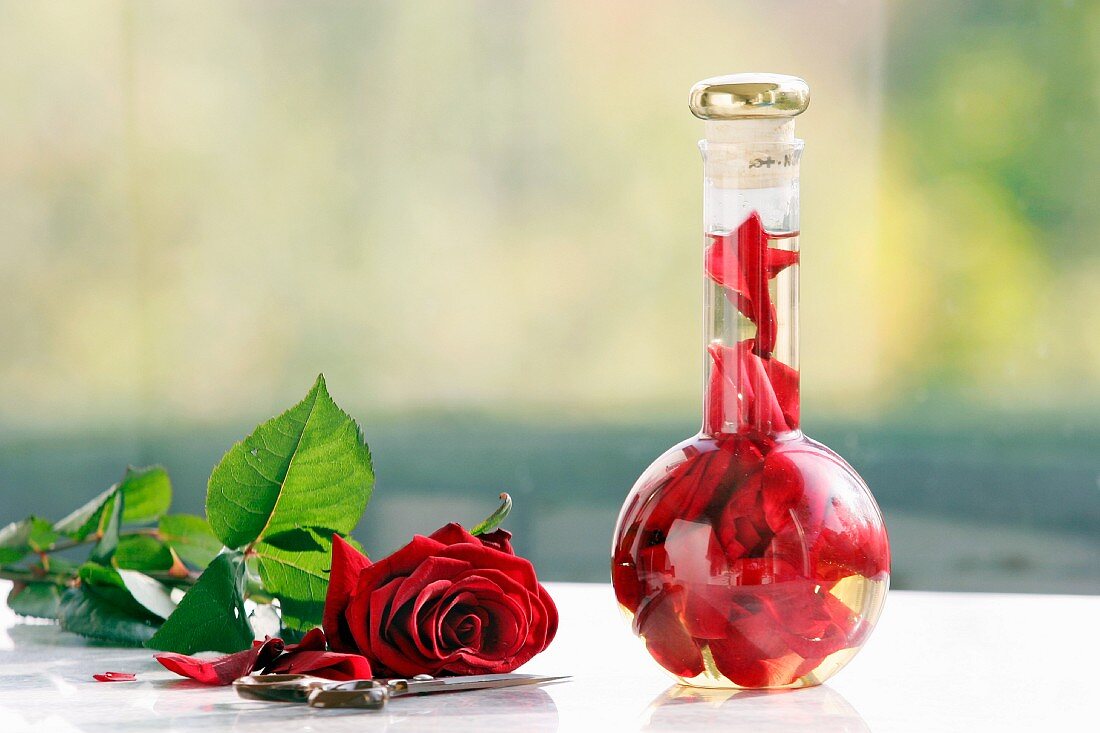 Rosenessig in der Flasche mit Rose