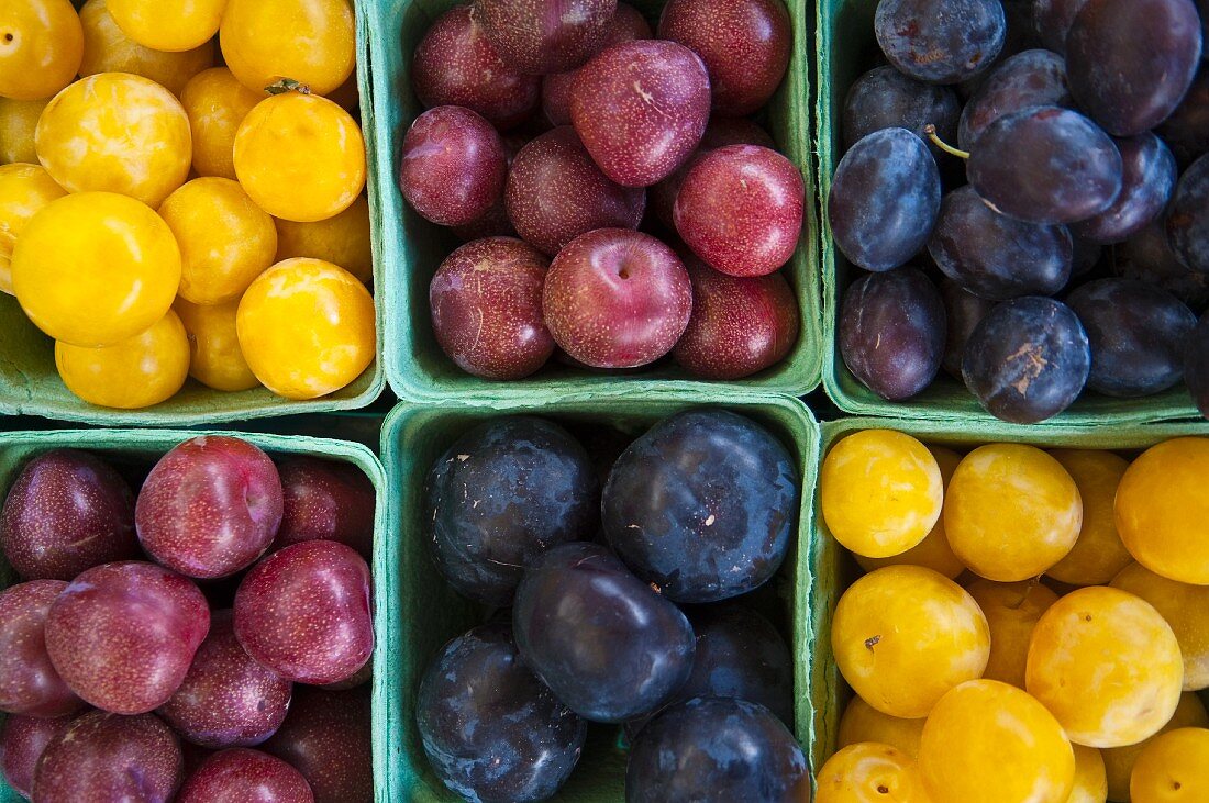 Various varieties of plums in cardboard punnets (whole picture)