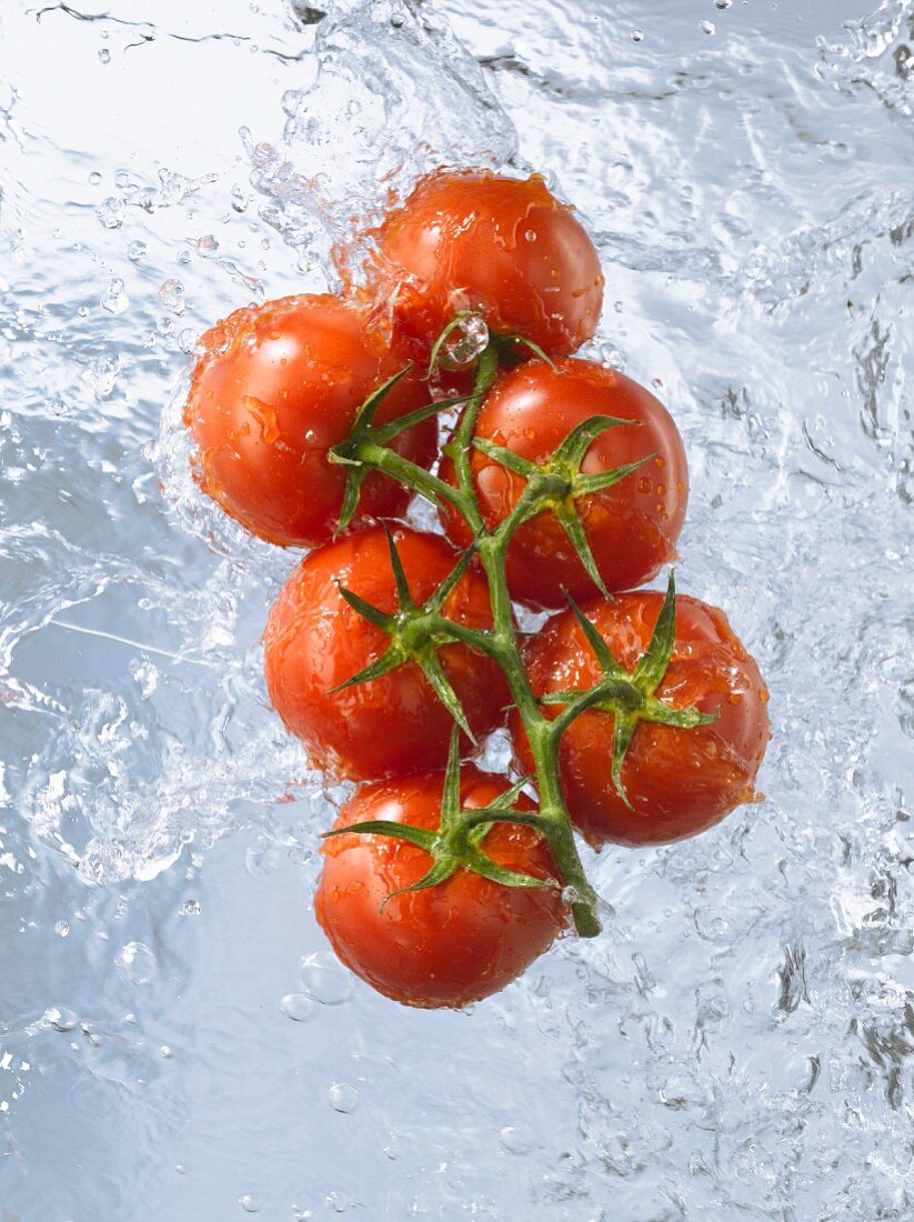 Vine tomatoes doused in running water