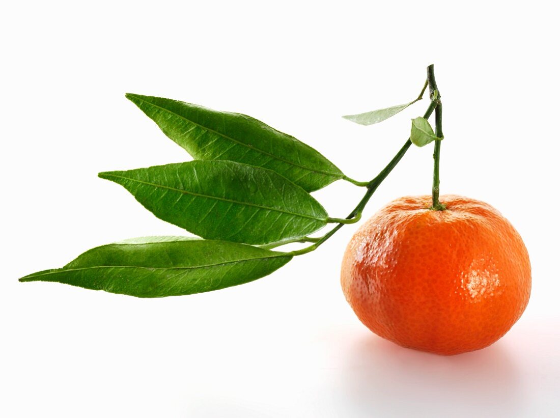 Eine Mandarine mit Blättern