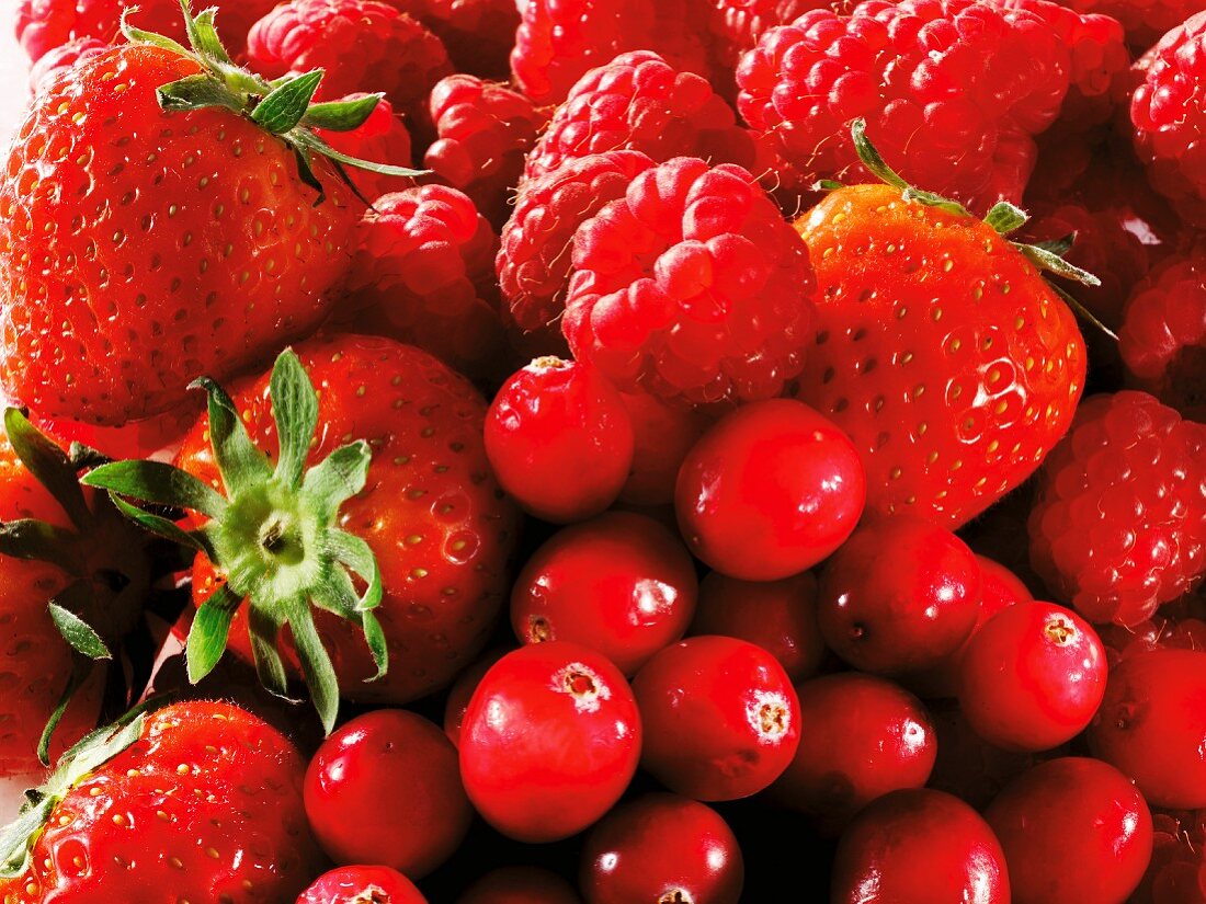 Erdbeeren, Himbeeren & Cranberries (bildüllend)