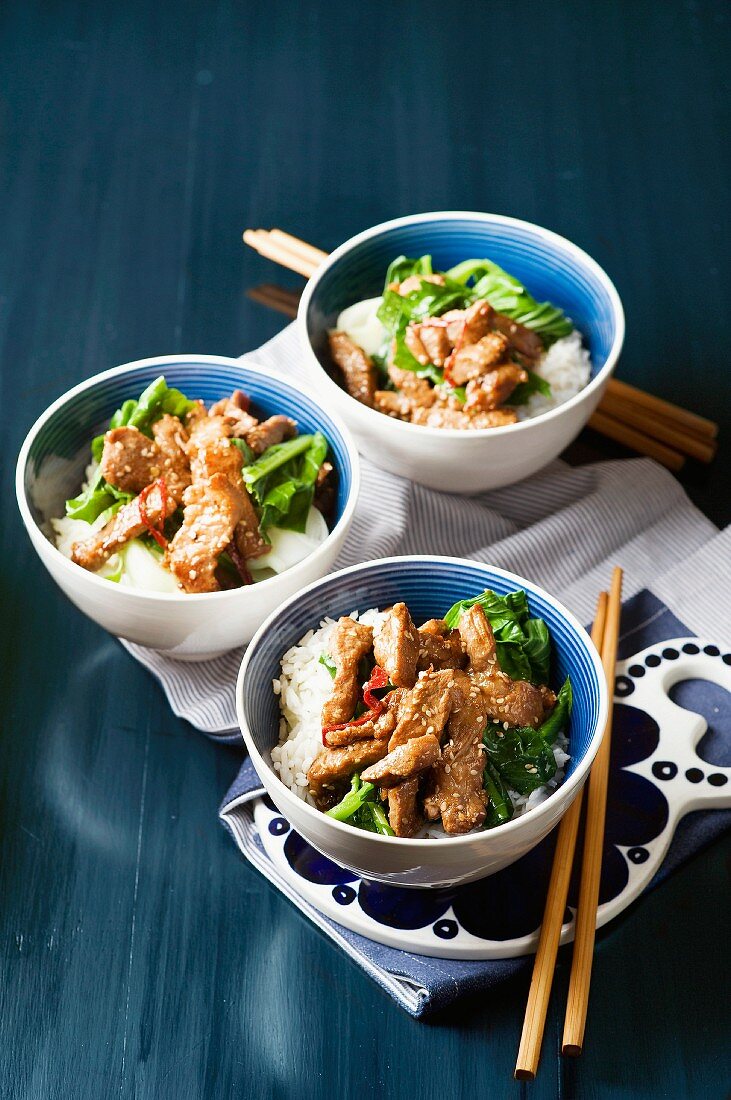 Quickly fried pork with sesame and Chinese vegetables